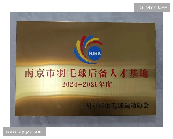 南京羽毛球队在钻石联赛中的转型与崛起之路探秘
